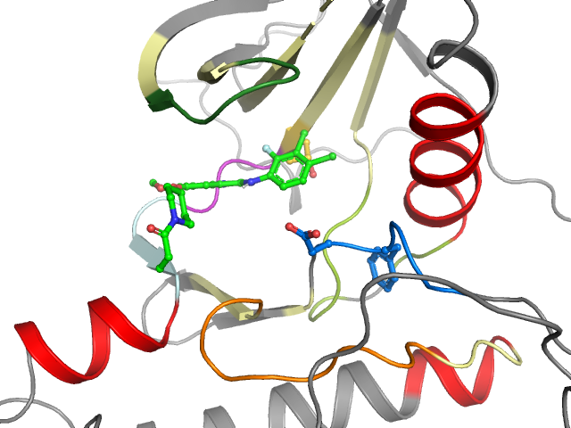 The orthosteric binding pocket
