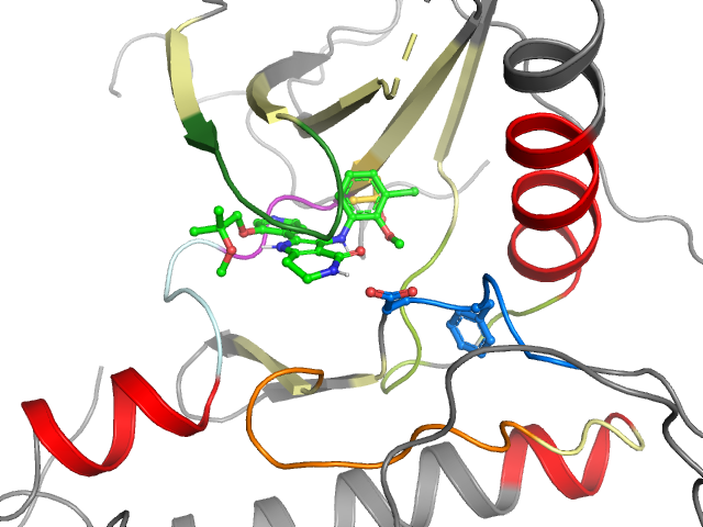 The orthosteric binding pocket