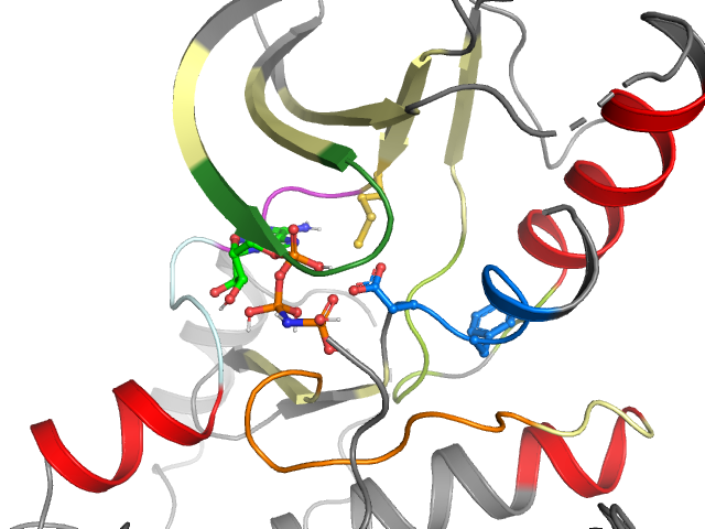 The orthosteric binding pocket