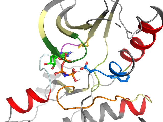The orthosteric binding pocket