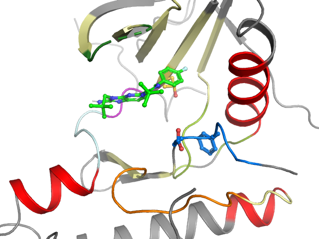 The orthosteric binding pocket
