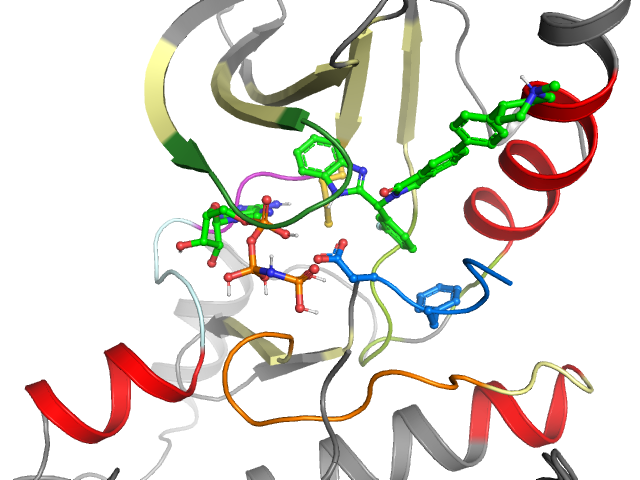 The orthosteric binding pocket