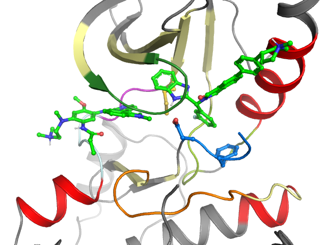 The orthosteric binding pocket