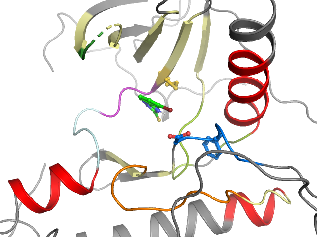 The orthosteric binding pocket