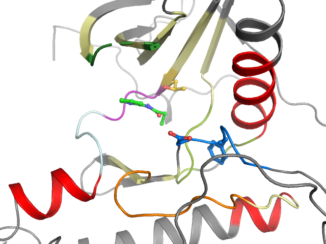 The orthosteric binding pocket