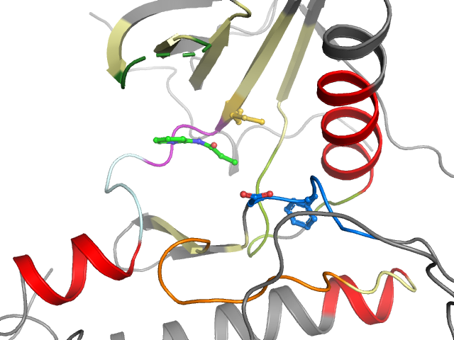 The orthosteric binding pocket