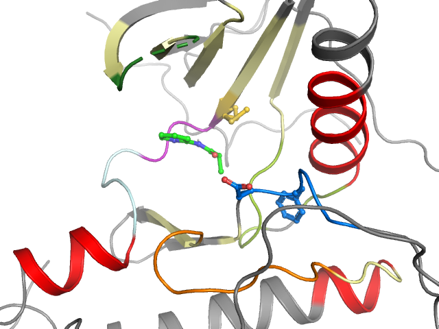 The orthosteric binding pocket