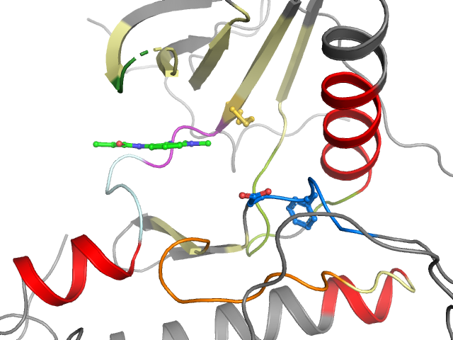 The orthosteric binding pocket