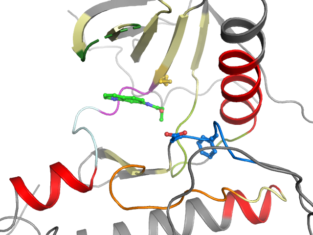 The orthosteric binding pocket