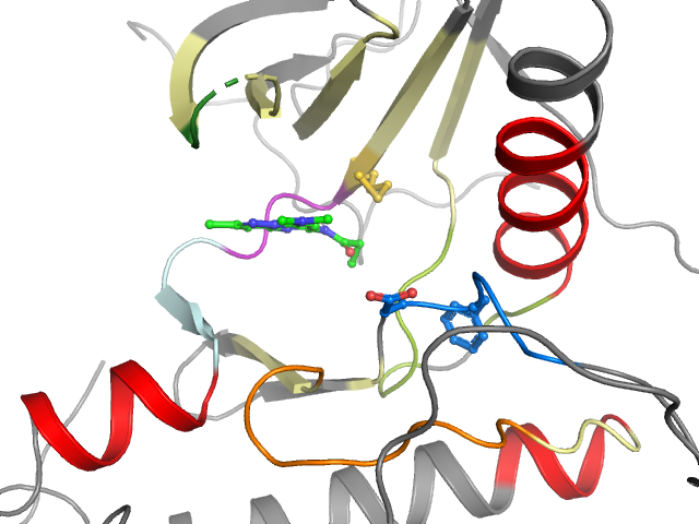 The orthosteric binding pocket