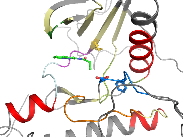 The orthosteric binding pocket