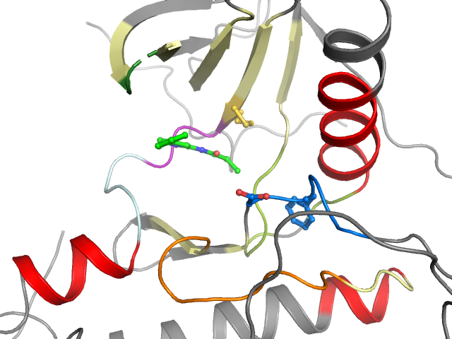 The orthosteric binding pocket