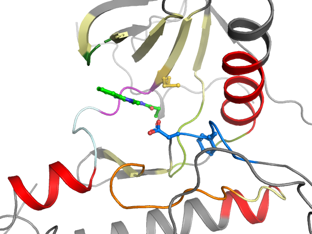 The orthosteric binding pocket