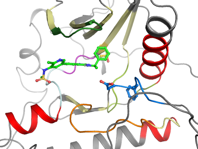 The orthosteric binding pocket