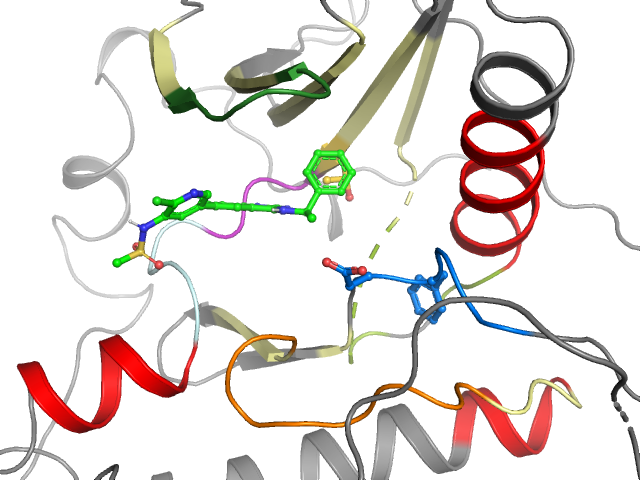 The orthosteric binding pocket