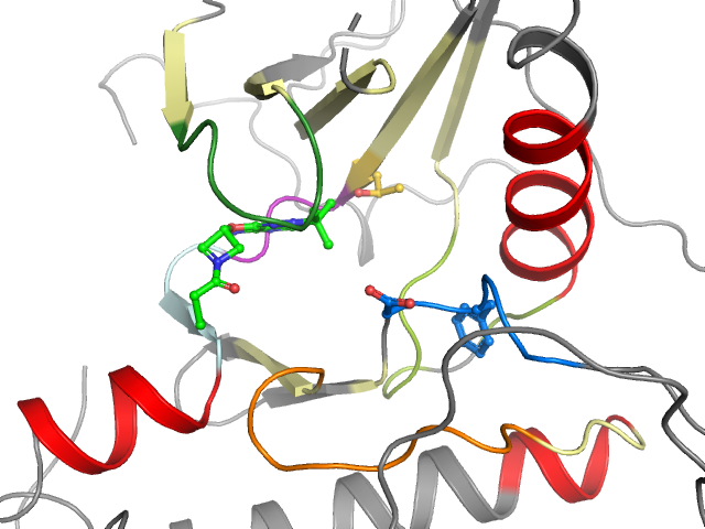 The orthosteric binding pocket