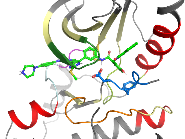 The orthosteric binding pocket