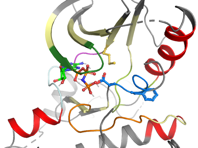 The orthosteric binding pocket