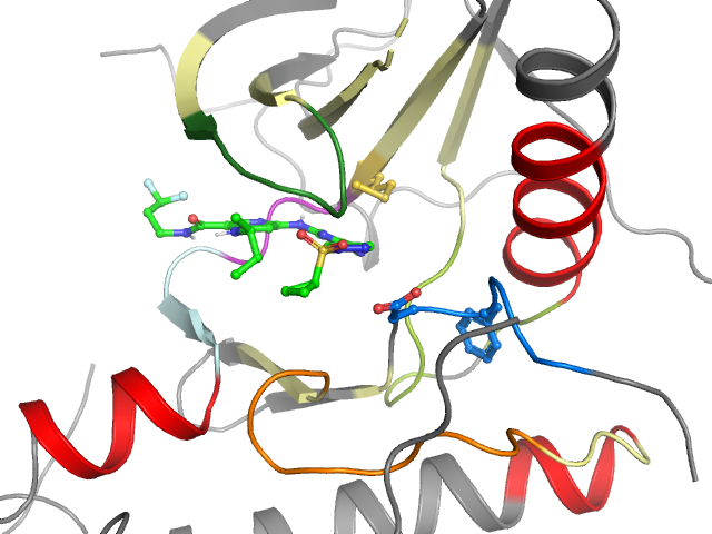 The orthosteric binding pocket