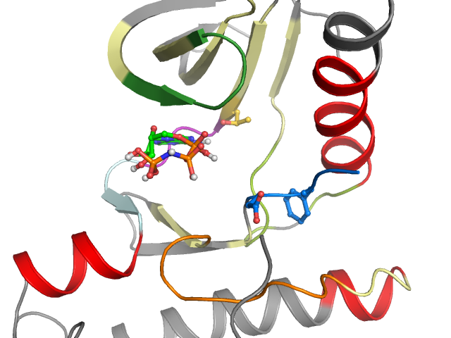 The orthosteric binding pocket