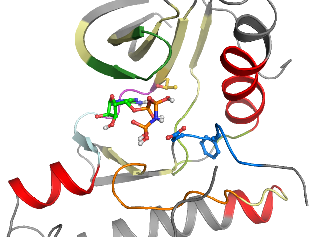 The orthosteric binding pocket