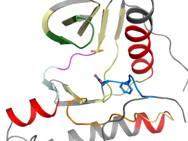 The orthosteric binding pocket