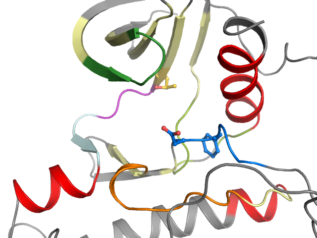 The orthosteric binding pocket
