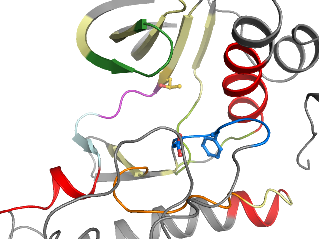 The orthosteric binding pocket