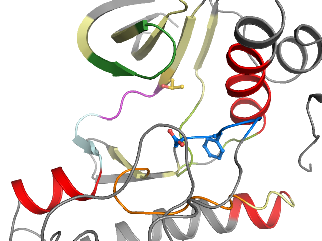 The orthosteric binding pocket