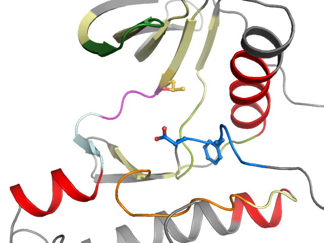 The orthosteric binding pocket