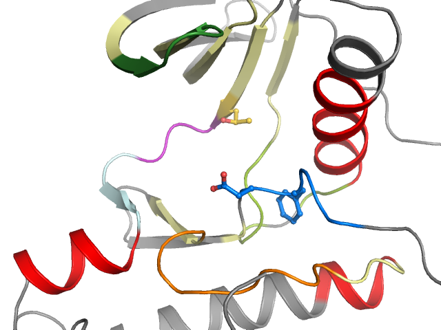 The orthosteric binding pocket