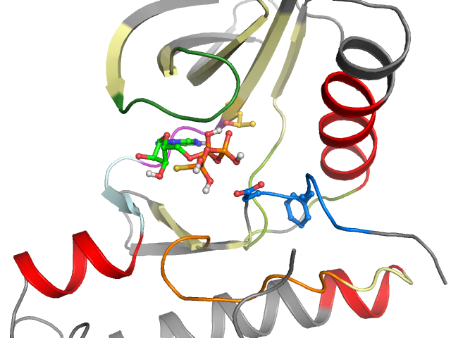 The orthosteric binding pocket