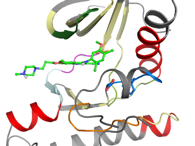 The orthosteric binding pocket