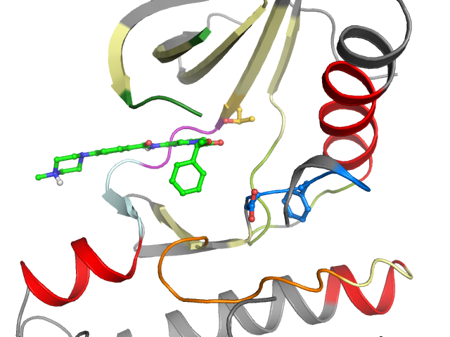 The orthosteric binding pocket