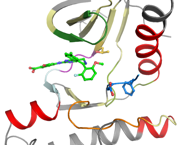 The orthosteric binding pocket