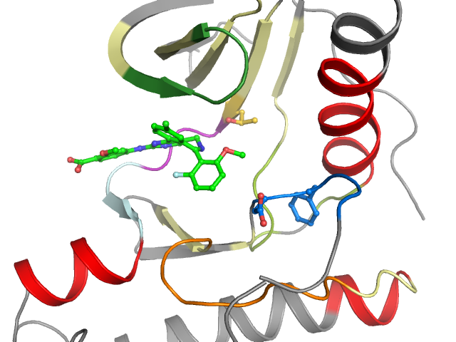 The orthosteric binding pocket