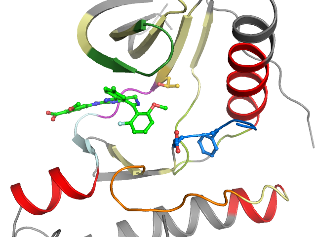 The orthosteric binding pocket