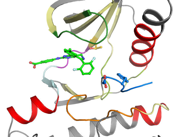 The orthosteric binding pocket