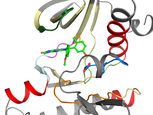 The orthosteric binding pocket