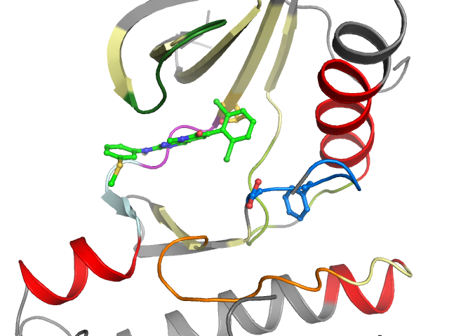 The orthosteric binding pocket