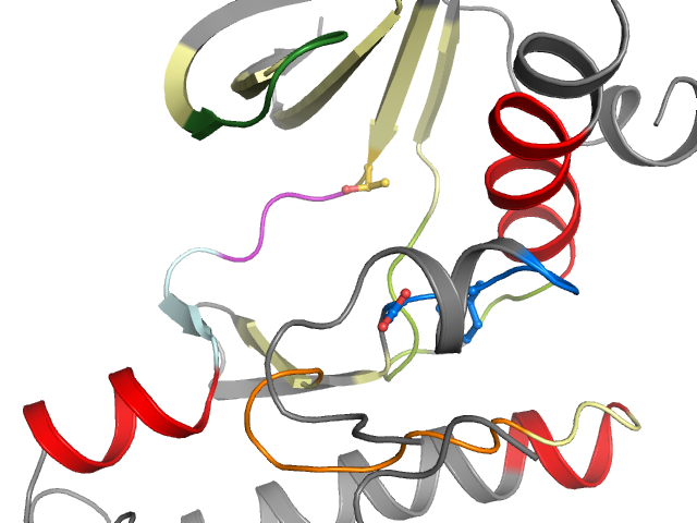 The orthosteric binding pocket