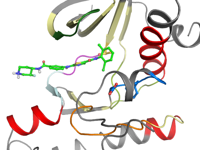 The orthosteric binding pocket