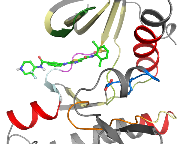 The orthosteric binding pocket