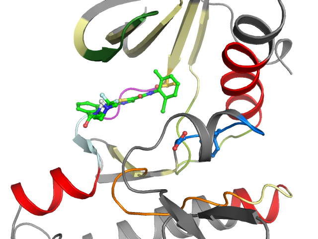 The orthosteric binding pocket