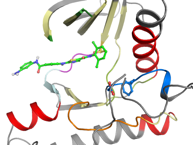The orthosteric binding pocket
