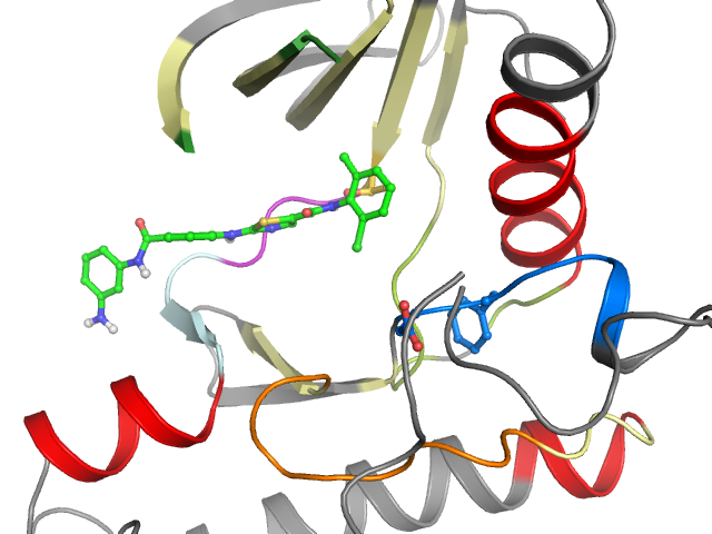 The orthosteric binding pocket