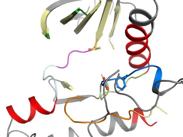The orthosteric binding pocket