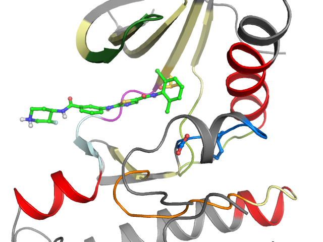 The orthosteric binding pocket