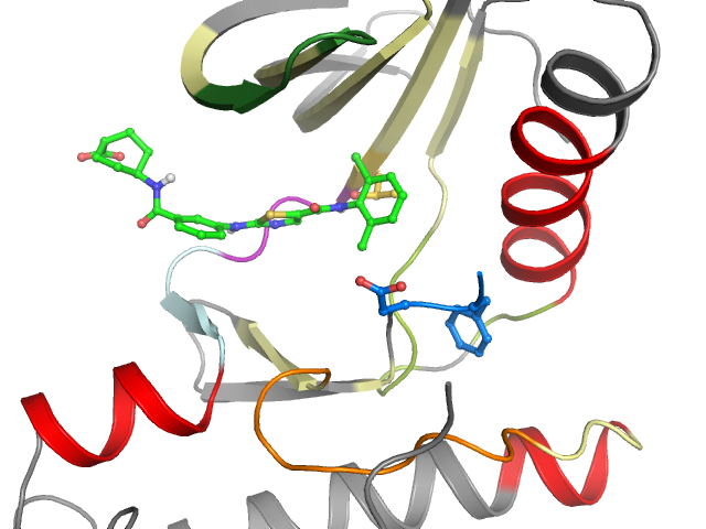 The orthosteric binding pocket