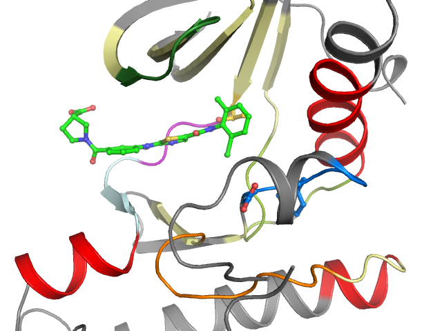 The orthosteric binding pocket